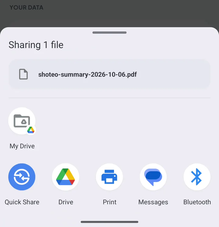 The share sheet with shoteo-summary-2026-10-06.pdf, Print and other apps